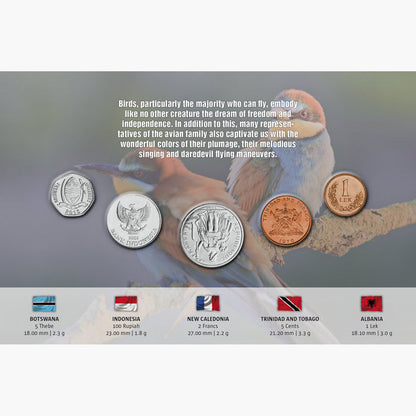 The Five - Birds