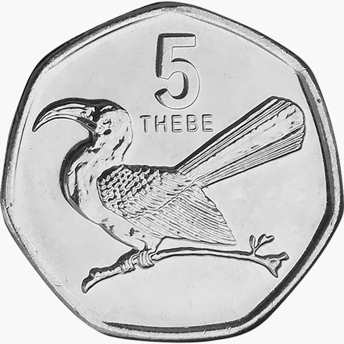 The Five - Birds