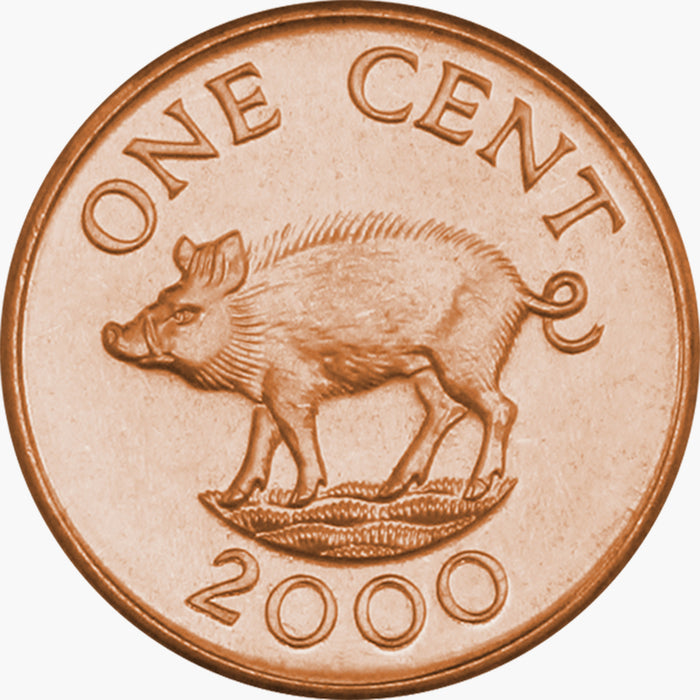The Five Lucky Coins