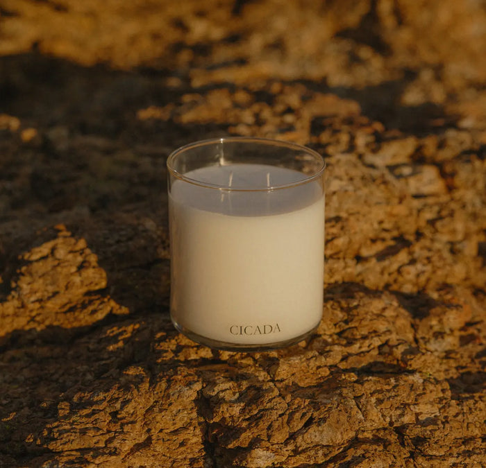 The Scent of Prickly Pear