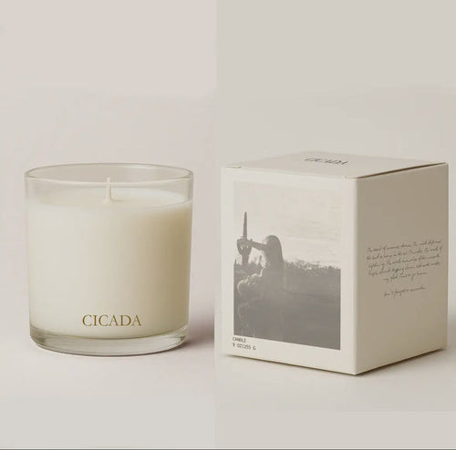 The Scent of The Desert Horizon