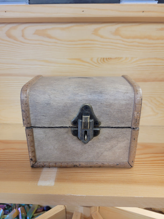 Treasure Chest Bank Large