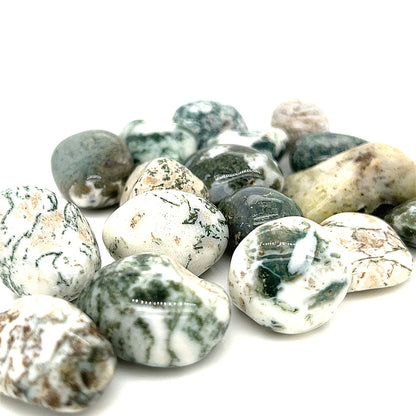 Tree Agate tumbled gemstone