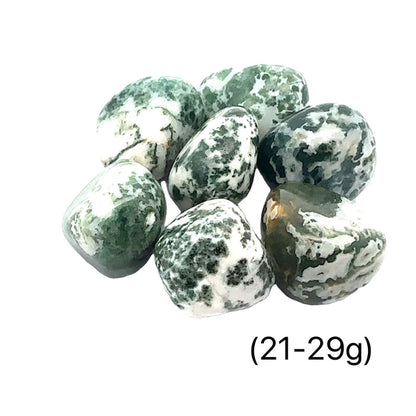 Tree Agate tumbled gemstone