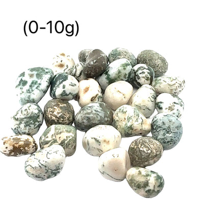 Tree Agate tumbled gemstone