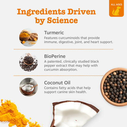 Infographic showing turmeric, BioPerine, and coconut oil ingredients with product bites in wooden bowl on right side.