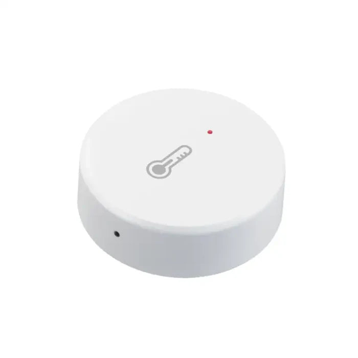 The google home security device