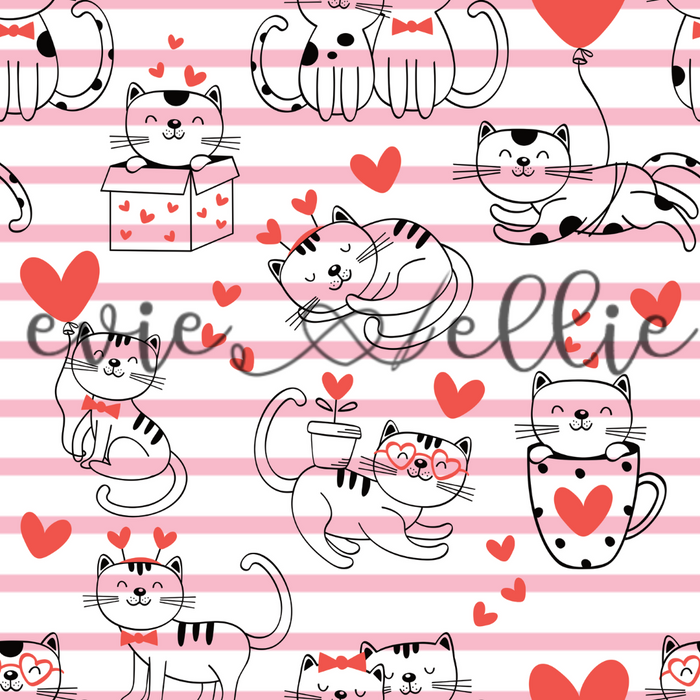Valentine's Day Cats