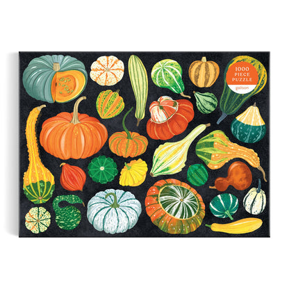 The cover of Dawn Coopers World of Pumpkins 1000 Piece Puzzle features a vibrant botanical illustration of colorful pumpkins, zucchini, and gourds from the Cucurbitaceae family on a striking black background.